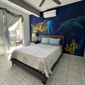 https://cache-casita-paraiso-villa.top-hotels-puertorico.com